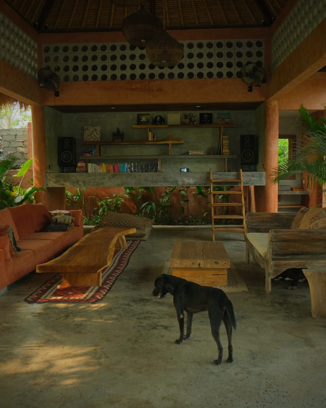 The open lounge at Lulu's: terracotta columns, concrete shelves of books and records, low wooden seating and one of the dogs on the floor.